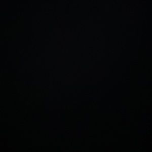 Meet your Posher, Lily